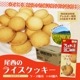 非常食 尾西のライスクッキー8枚入 ココナッツ風味 48個 ケース売り 米粉クッキー ビスケット 保存食 お菓子|非常食|食事（非常食・保存水）
