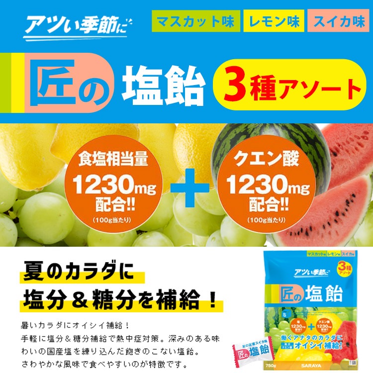 熱中症対策 サラヤ塩分補給キャンディ 匠の塩飴3種アソート750g (塩飴 しおあめ 熱中飴 熱中症 塩分補給 SARAYA NO:27860)