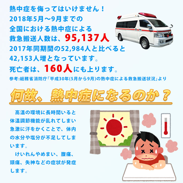 熱中症対策 サラヤ塩分補給キャンディ 匠の塩飴3種アソート750g (塩飴 しおあめ 熱中飴 熱中症 塩分補給 SARAYA NO:27860)