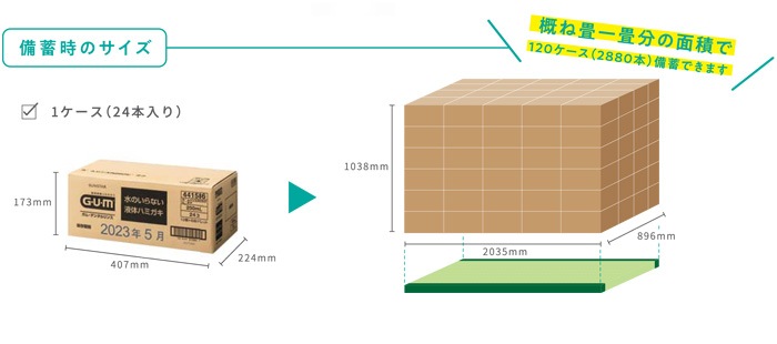 サンスター 長期保存用 ガム・デンタルリンス 水のいらない液体ハミガキ 250ml（SUNSTAR GUM 衛生 清潔 歯磨き 口腔衛生 はみがき)
