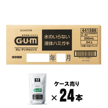 サンスター 長期保存用 ガム・デンタルリンス 水のいらない液体ハミガキ 250ml 24本ケース売り お取り寄せ商品：3週間以内で発送 (SUNSTAR GUM 衛生 清潔 歯磨き 口腔衛生)