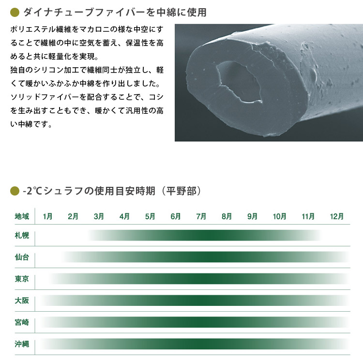 寝袋 ロゴス ミニバンぴったり寝袋 -2 BD #72600241 車中泊 丸洗いOK 洗える 適正温度-2℃まで クッションにも