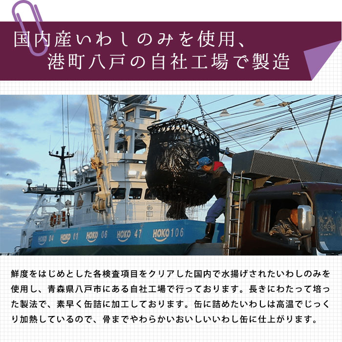 ニッスイ　日本産　いわし水煮　味付け煮　40缶セット　備蓄　保存食 ニッスイ 日本産 いわし水煮 味付け煮 40缶セット 備蓄 保存食 缶詰