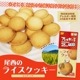 非常食 尾西のライスクッキー8枚入 ココナッツ風味 米粉クッキー ビスケット 保存食 お菓子|非常食|食事（非常食・保存水）