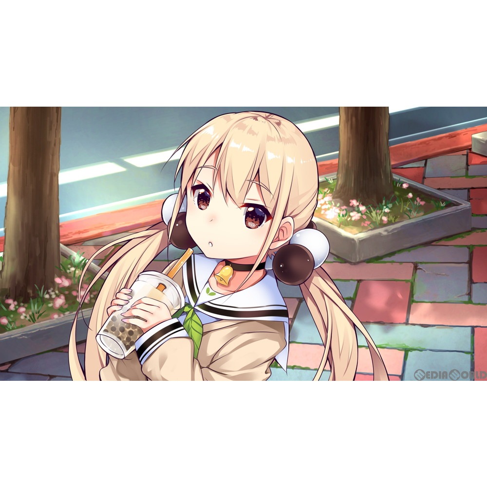 通販 中古即納 Switch 食用系少女 Food Girls フードガールズ 通常版 1126 メディアワールド