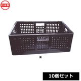 �������� �ޤ���ߥ���ƥ� 10�ĥ��å� ��