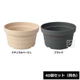 ������ �ʥ��塼������ݥå� 22�淿 40�ĥ��å� Ʊ��