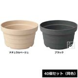 ������ �ʥ��塼������ݥå� 25�淿 40�ĥ��å�