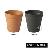 ������ ���쥤�ݥåȥʥ��塼�� 6�淿 80�ĥ��å� Ʊ��