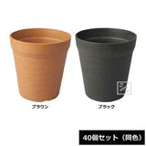 ������ ���쥤�ݥåȥʥ��塼�� 8�淿 40�ĥ��å� Ʊ��