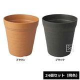 ������ ���쥤�ݥåȥʥ��塼�� 10�淿 24�ĥ��å� Ʊ��