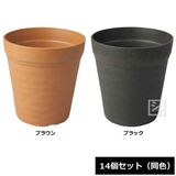 ������ ���쥤�ݥåȥʥ��塼�� 12�淿 14�ĥ��å� Ʊ��