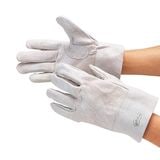 #401 �׼��ޡ���˥����10��