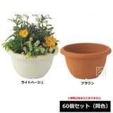 ������ �֥�󥷥�ܡ��� 260�淿 60�ĥ��å� Ʊ��