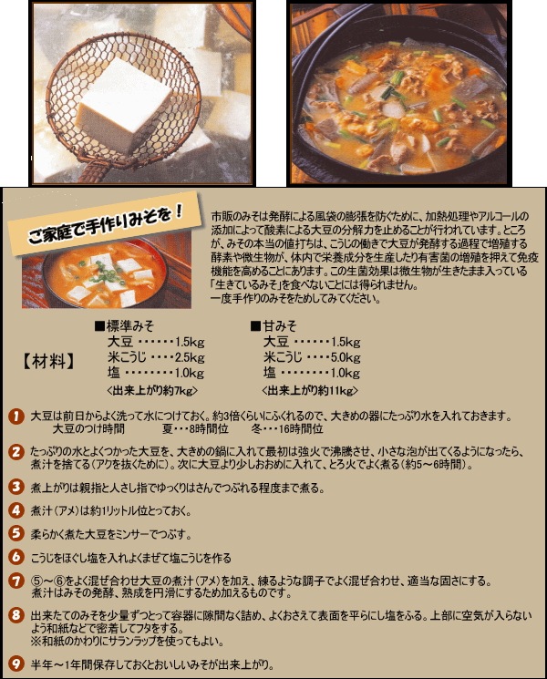 ��ư��Ʀ�Ҥ����ޤ�ߥ󥵡� BK-205N