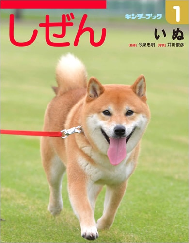 ʴˤ󥭥֥å2018ǯ1桿