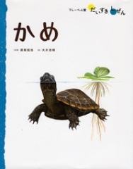 しぜん40冊➕だいすきしぜん1冊(フレーベル館) 完売）フレーベル館だいすきしぜんシリーズ（みずのいきもの） かめ