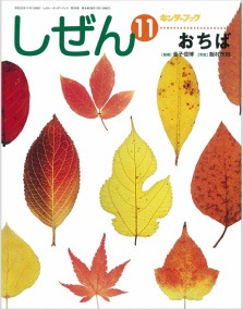 葉っぱのフレディ キンダーブックしぜん おちば 完売】しぜんキンダーブック 2010年11月号/おちば