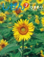 完売しました】しぜんキンダーブック 2011年7月号／ひまわり