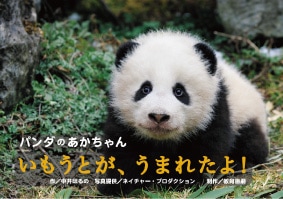 お取り寄せ 期間限定 かわいい どうぶつのあかちゃん 写真紙芝居 お取り寄せ 期間限定 かわいい どうぶつのあかちゃん 写真紙芝居