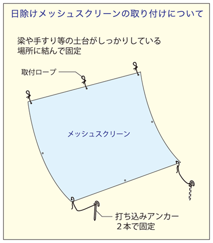 ڤ󤻡å她꡼Ҥɤ⤿롪׸Ψ65%