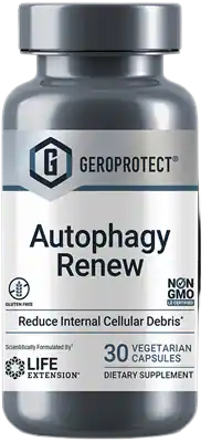 �����ȥե�������˥塼