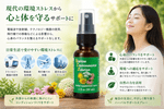 FES Quintessentials �Υ����꥽�� ������Х�����󥿥롡����塼����� ���ץ졼