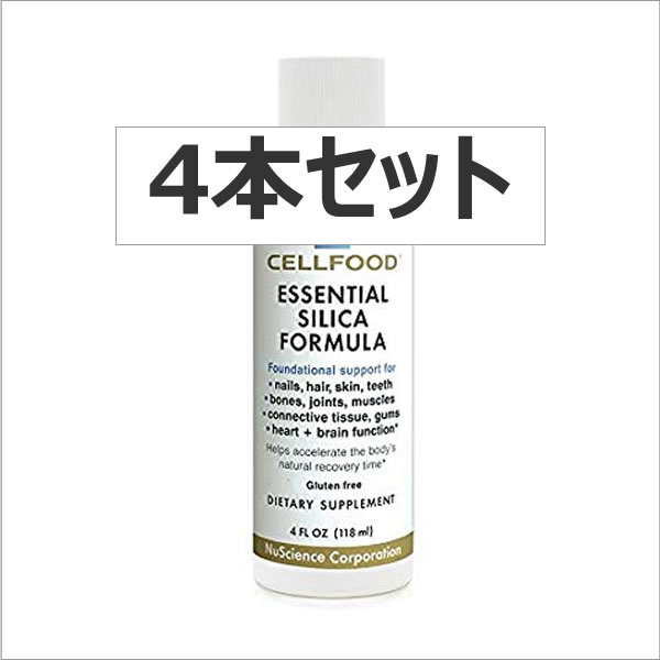 ����ա��� ���ꥫ 4�ܥ��å�