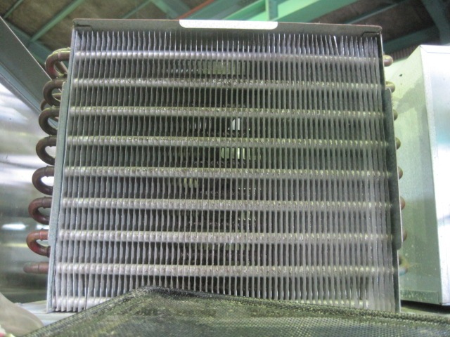 �ڥ�����ۡڶ�̳�ѡۡ���šۡ��꡼��������¢���硼��������221DP2-EC����ñ��100V