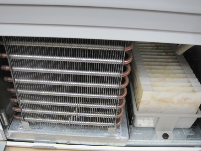 �ڥ�����ۡڶ�̳�ѡۡ���šۡ���¢���硼��������231AU-11��ñ��100V