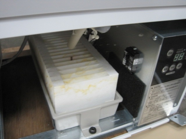 �ڥ�����ۡڶ�̳�ѡۡ���šۡ���¢���硼��������331SAU-12��ñ��100V