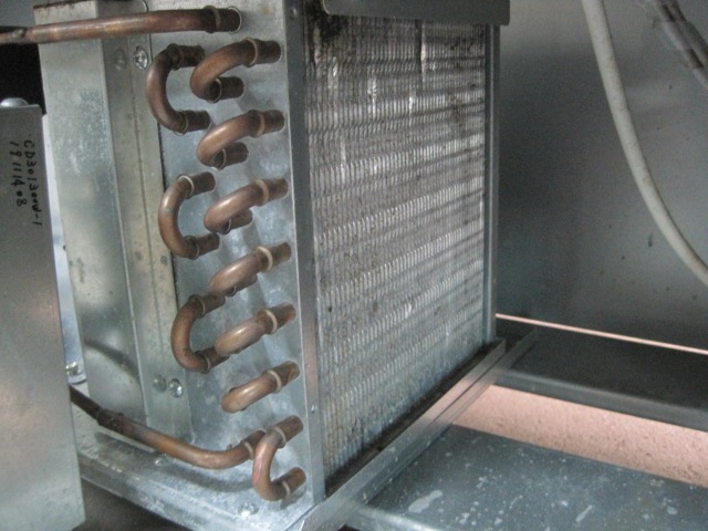 �ڥ�����ۡڶ�̳�ѡۡ���šۡ�������¢���硼��������KN401B3��ñ��100V����������ή��