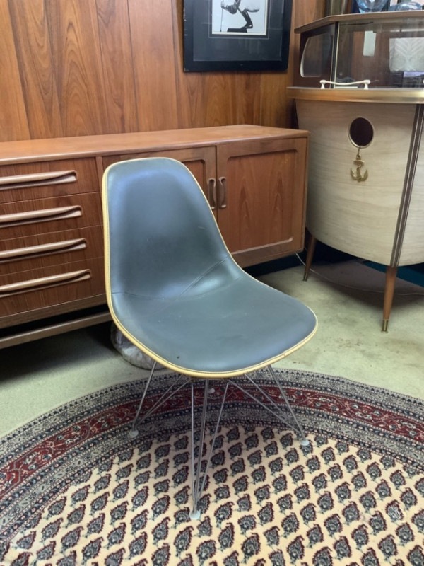 【レンタル】 Charles & Ray Eames.（チャールズ & レイ・イームズ） サイドシェルチェア 湯の花ファクトリー,椅子