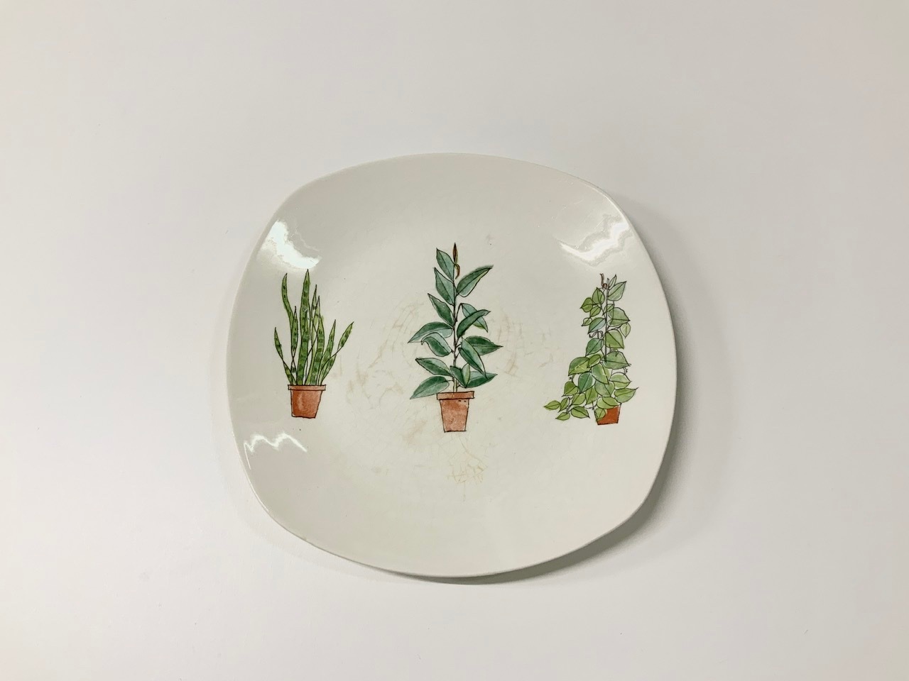 Midwinter(ミッドウインター) Plant Life（プラントライフ） プレート  