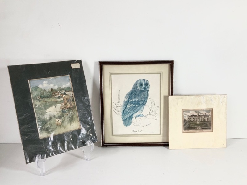 �۳����ե��ȥ������ �Ƽ��3����