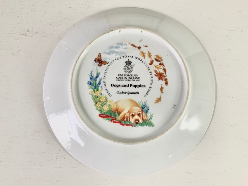 �۳����ե��ȥ������ �Ƽ��3����