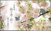 ミントセット 令和3年(2021年)桜の通り抜け(大阪)貨幣セット