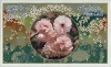 ミントセット 平成10年(1998年) 花のまわりみち(広島)