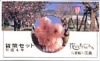 ミントセット 平成4年(1992年)花のまわりみち(広島)