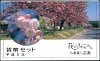ミントセット 平成5年 花のまわりみち(広島)