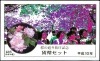 ミントセット 平成10年(1998年)桜の通り抜け