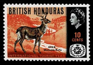 売約3930 外国切手 イギリス 1986年 自然保護 絶滅危惧種初日カバー4種 売約3930 外国切手 イギリス 1986年 自然保護 絶滅危惧種初日