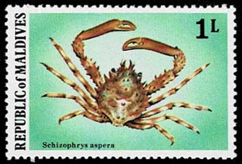 日本の古切手　美しいモルディブ　10枚 日本の古切手 美しいモルディブ 10枚 日本の古切手 美しい