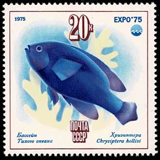 4033　外国切手　旧ソ連　1975年EXPO'75 冲縄国際海洋博会　6種完 沖縄海洋博 切手6種セット ソビエト連邦発行 | 切手,ヨーロッパ