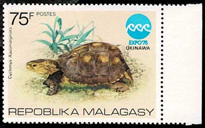 沖縄海洋博 切手5種セット マダガスカル発行 | 切手,アフリカ