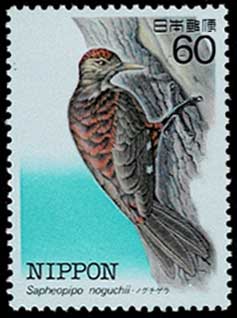 全揃い 特殊鳥類シリーズ 60円切手単片 10種セット | 切手