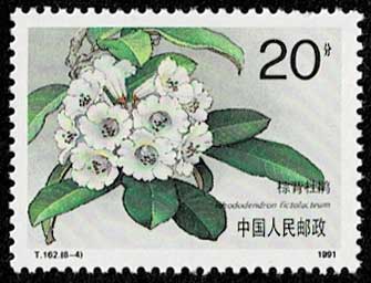 ツツジ、シャクナゲ 切手全8種 中国発行 | 切手,中国切手 | 趣味の中古
