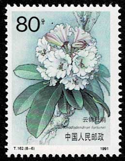 ツツジ、シャクナゲ 切手全8種 中国発行 | 切手,中国切手 | 趣味の中古