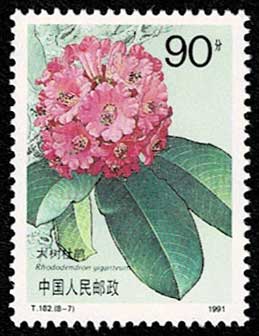 ツツジ、シャクナゲ 切手全8種 中国発行 | 切手,中国切手 | 趣味の中古