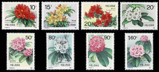 ツツジ、シャクナゲ 切手全8種 中国発行 | 切手,中国切手 | 趣味の中古